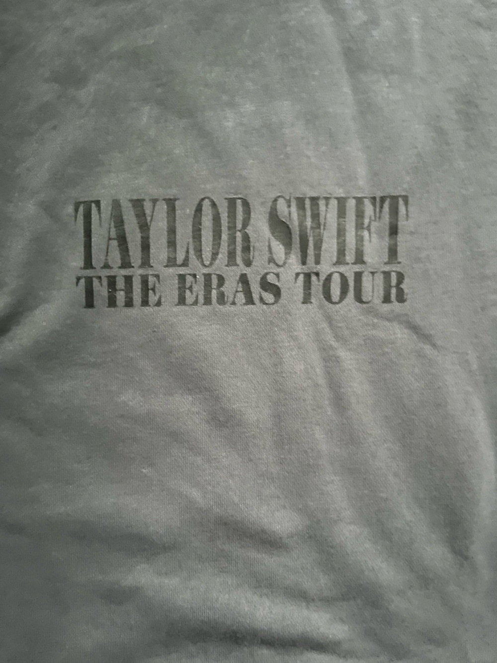 Taylor Swift Gray Oversized Eras Tour Concert Merch Hoodie S Swiftie Girly 2023
